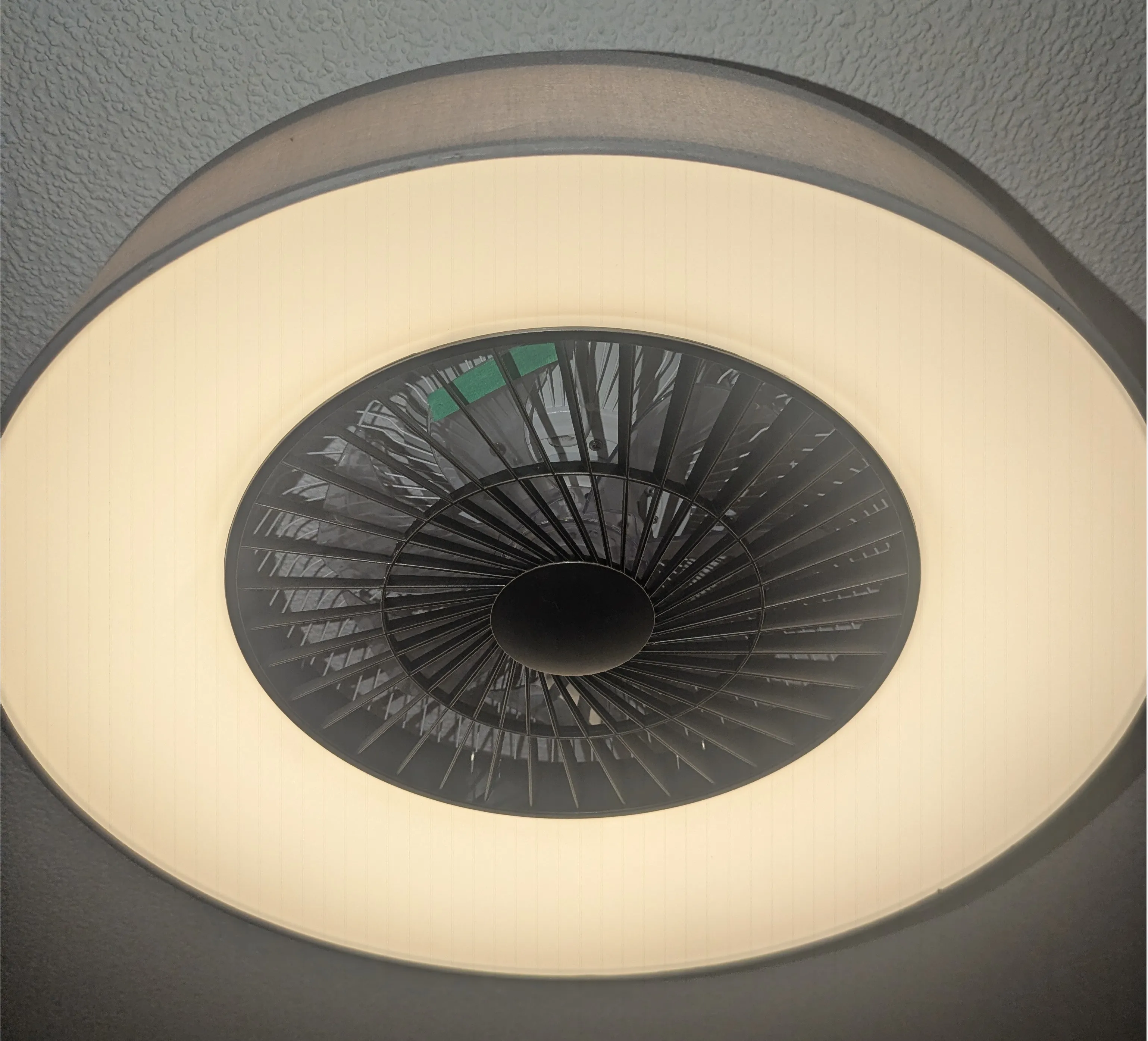the lamp