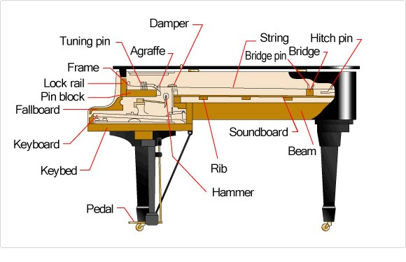Grand piano side-view diagram showing the key, hammer, strings, bridge, and soundboard.
